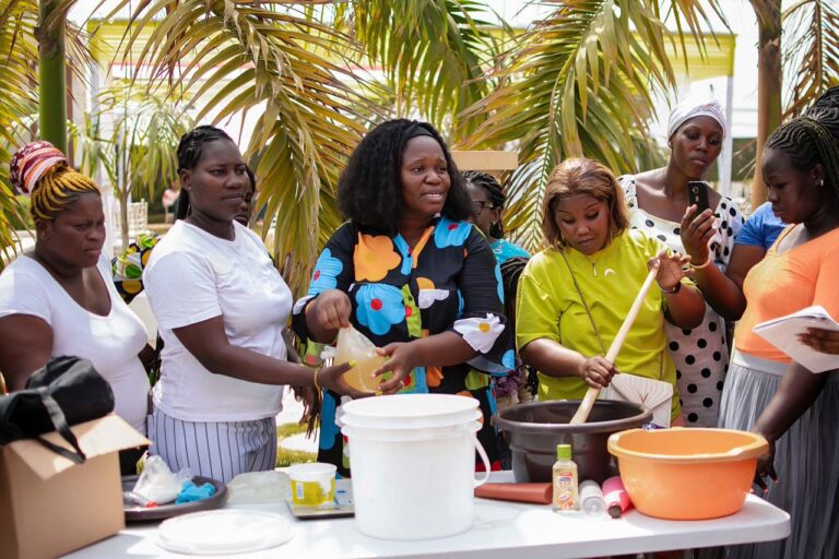 Skills training and mentorship programme